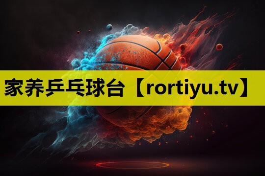 家养乒乓球台