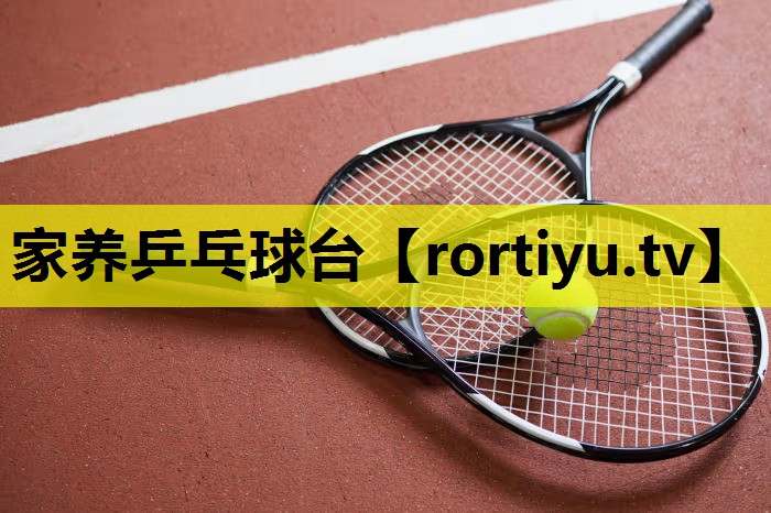 家养乒乓球台