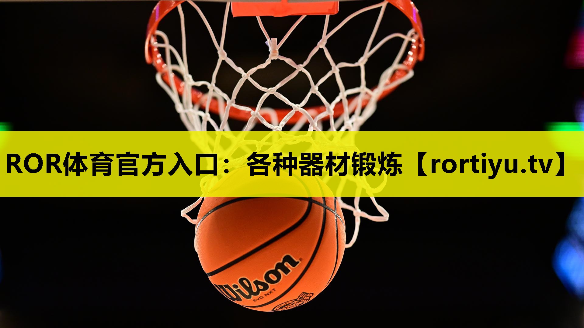 各种器材锻炼