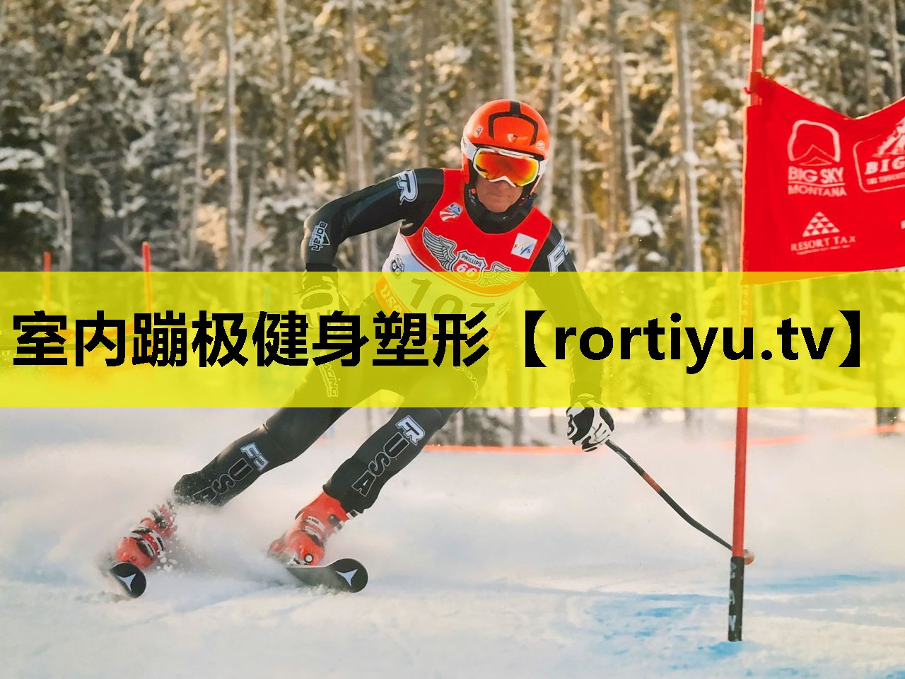 室内蹦极健身塑形